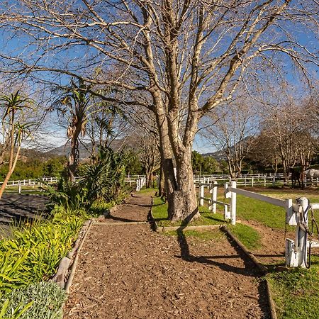 Novelle Vista Cottage Houtbaai Buitenkant foto