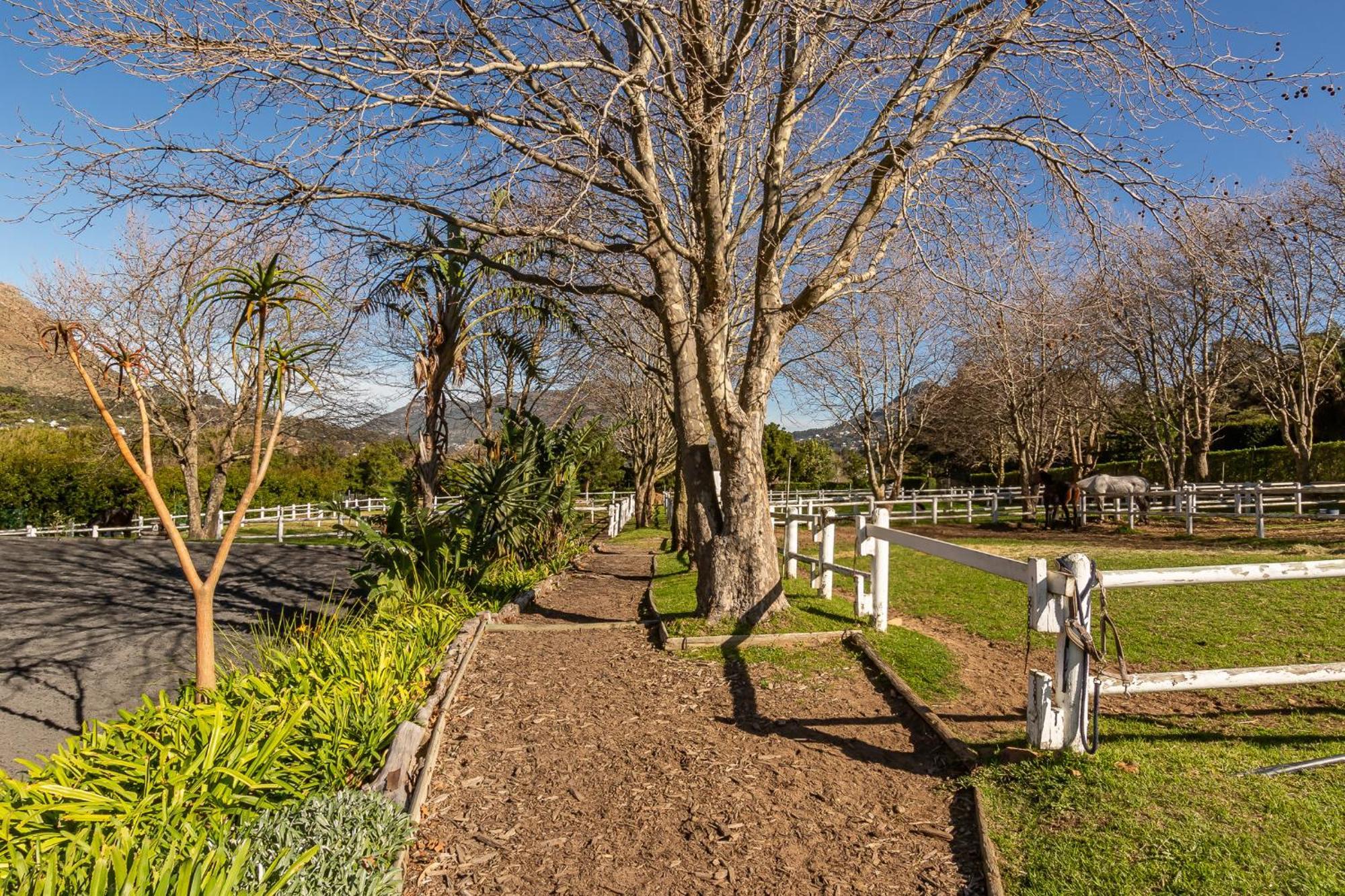 Novelle Vista Cottage Houtbaai Buitenkant foto