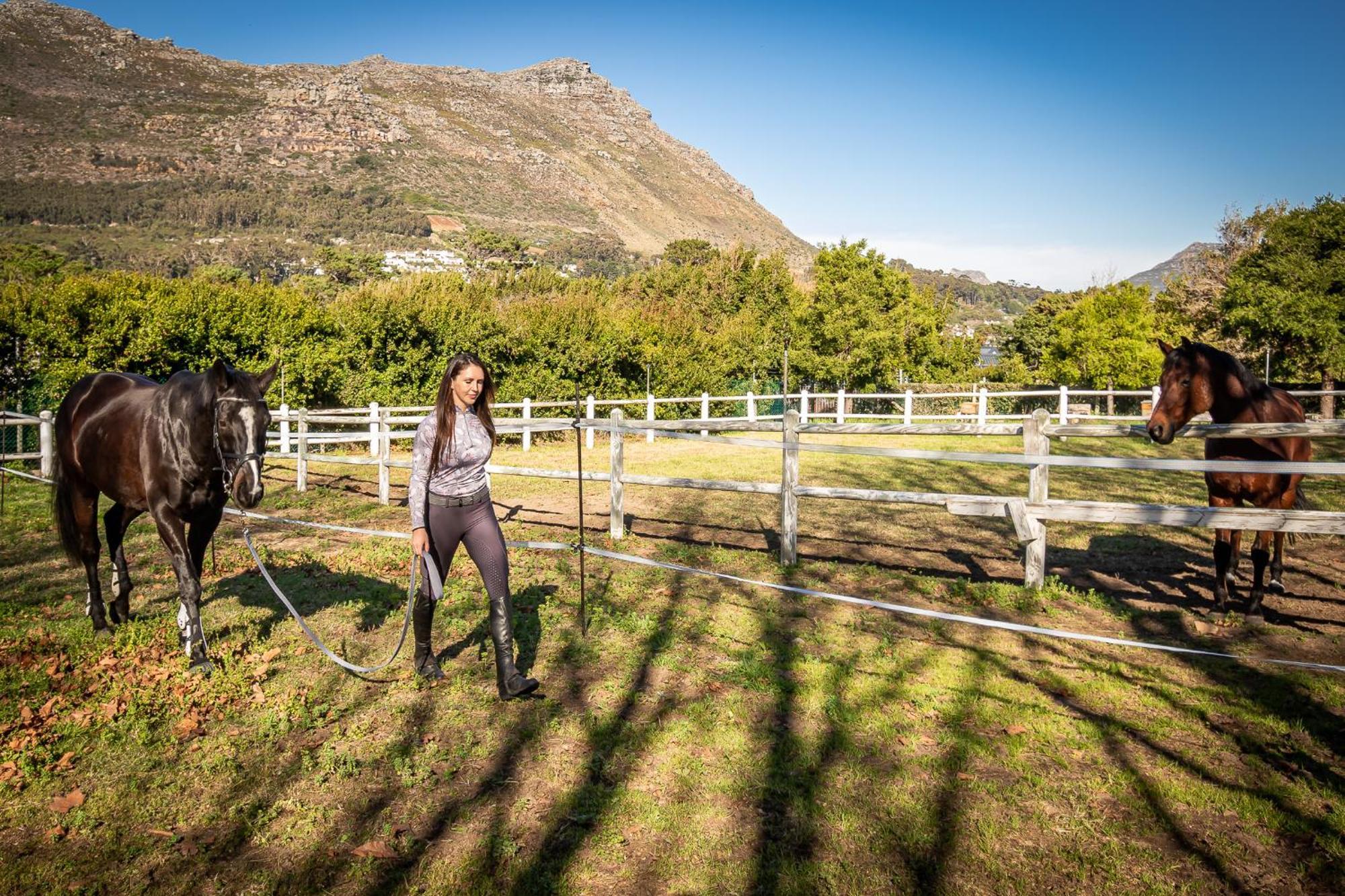 Novelle Vista Cottage Houtbaai Buitenkant foto